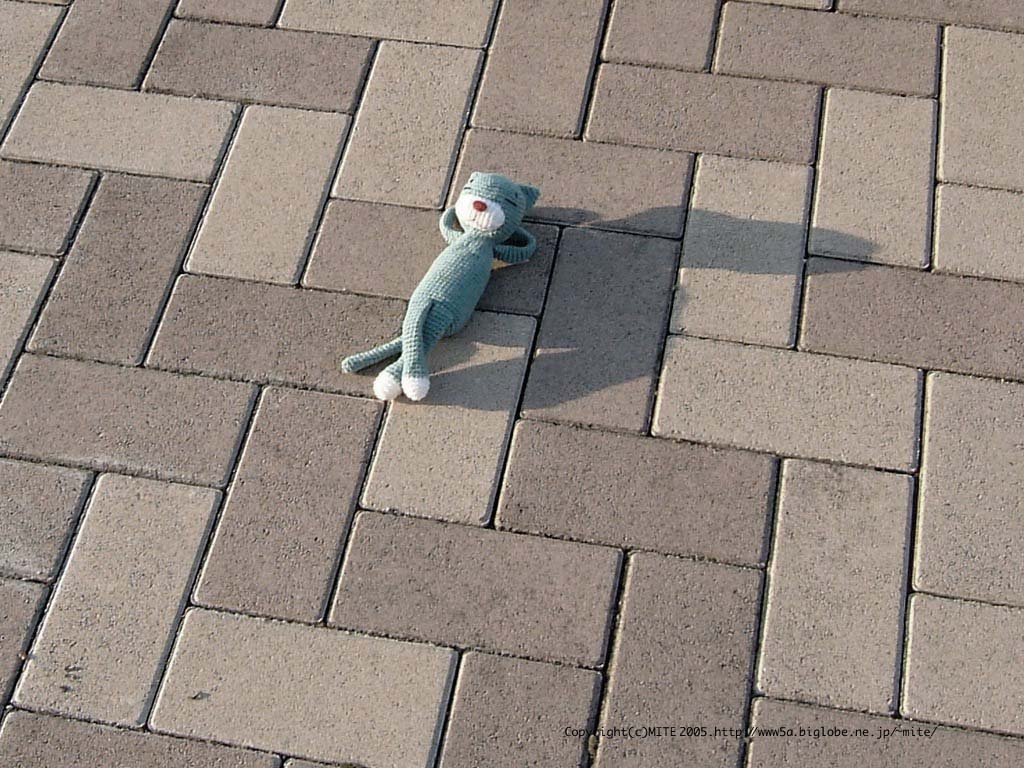50_1024